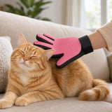 Cat being groomed with the pink Zunipaw glove